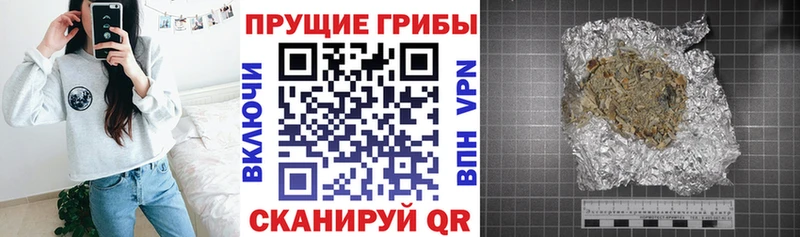 Купить  Питкяранта  Псилоцибиновые грибы прущие грибы 
