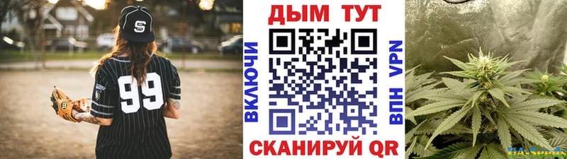 Купить где  Питкяранта  Конопля ГИДРОПОН 